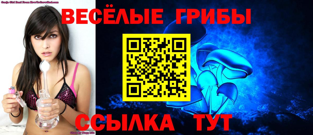 Псилоцибиновые грибы Cubensis Конаково
